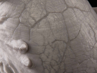 A spiked shell with detailed texture printed by Expert-3DPrinter using FDM